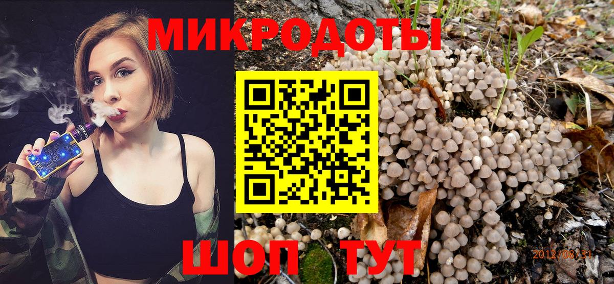 Чапаевск  Псилоцибиновые грибы мицелий  Вход с VPN 